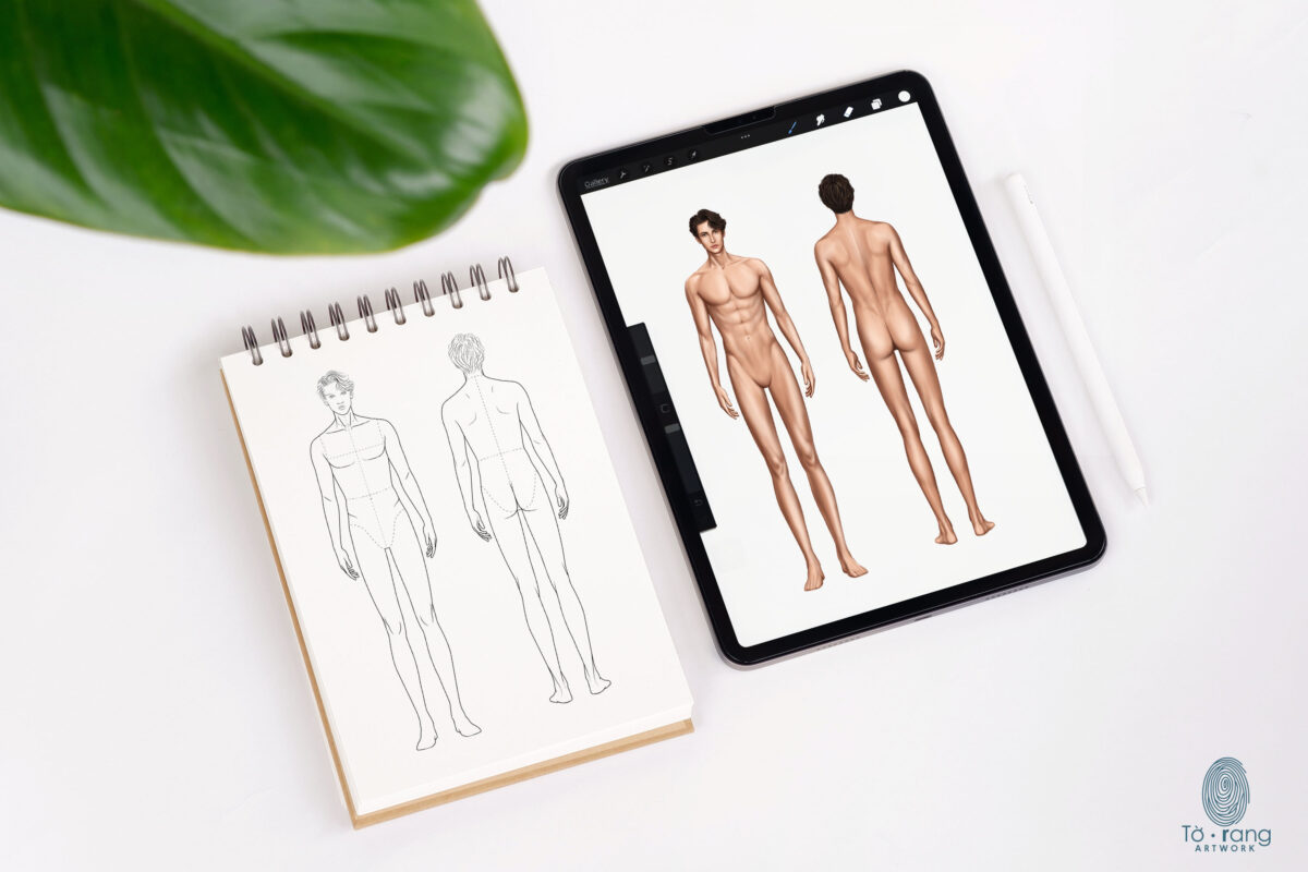10-Head Male Fashion Croquis (Front & Back, 3 Skin Tones) - Vector & Procreate - Image 5